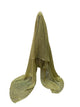 Ilaria Pashmina 7843 elegant