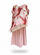 Completo yemen 7865